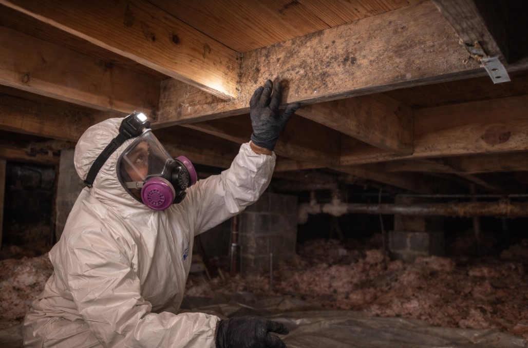 Crawl Space Mold Inspection Hollis Center