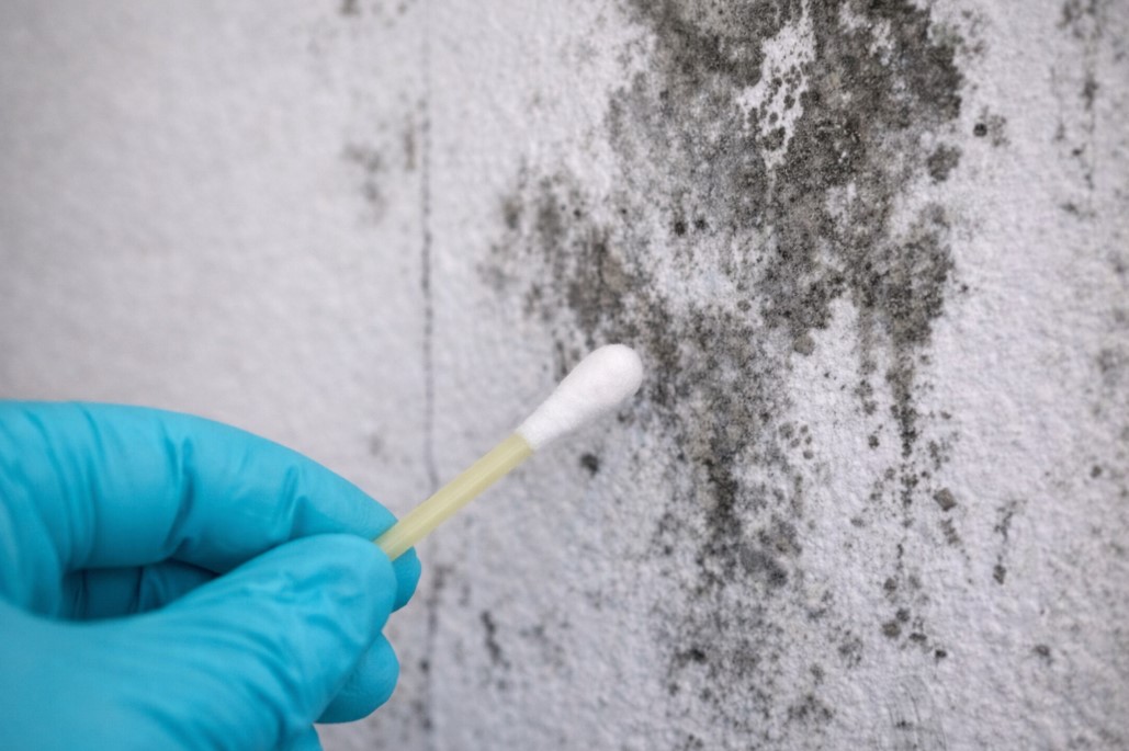 Surface Sampling Walworth, WI