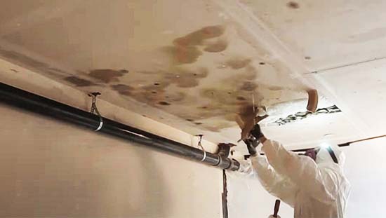 Mold Removal Tecumseh, KS